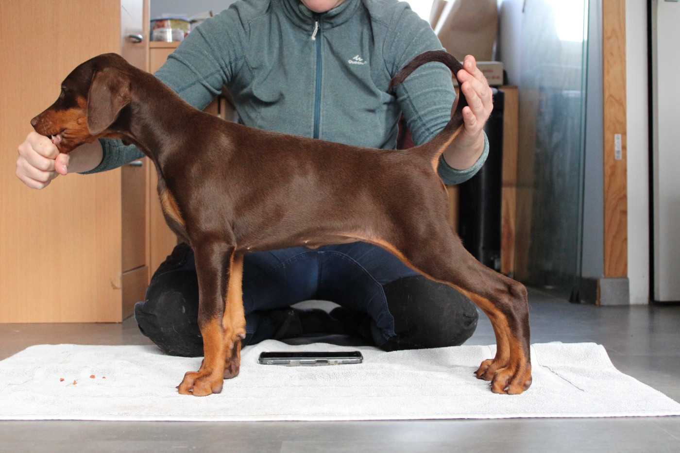 Aiwcho Des Anges Du Mont D'or